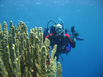 gildives Gil diving with hard coral on Kosrae