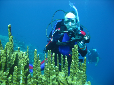 gildivesinkosrae gildivesinkosrae
